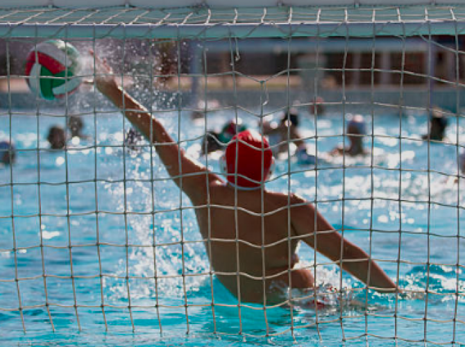 Water-polo - Adulte